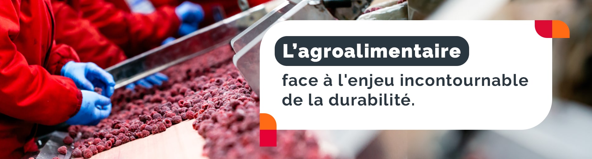 La durabilité l&rsquo;enjeu incontournable du secteur agroalimentaire